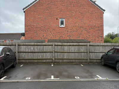 Picture 8